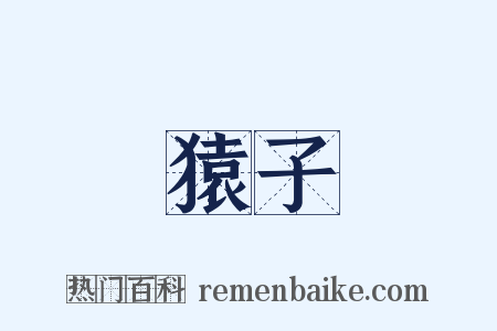 猿子是什么意思的图片